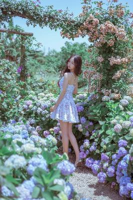 三十而已电视剧免费观看全集完整版